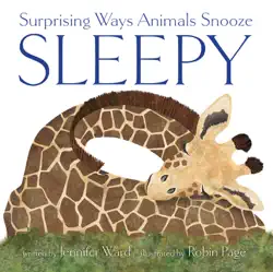 sleepy book cover image