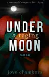Under a Raging Moon: Part One sinopsis y comentarios
