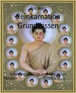 reinkarnation grundwissen book cover image