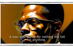 malcolm-x quotes book cover image