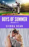 Boys of Summer Collection synopsis, comments