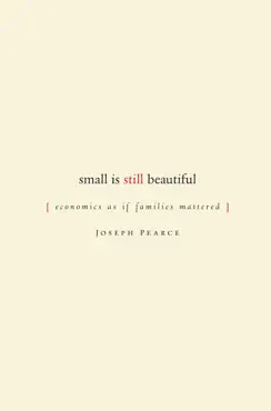 small is still beautiful book cover image