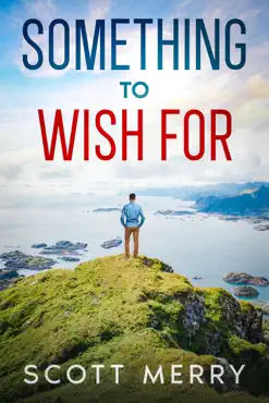 something to wish for book cover image