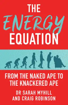 the energy equation book cover image