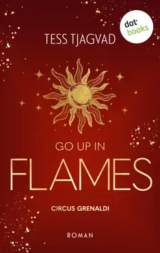go up in flames book cover image