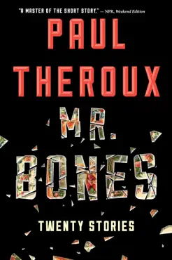 mr. bones book cover image