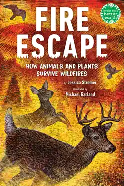 fire escape book cover image