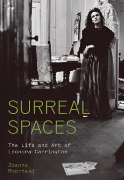 surreal spaces book cover image