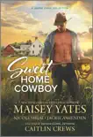 Sweet Home Cowboy sinopsis y comentarios