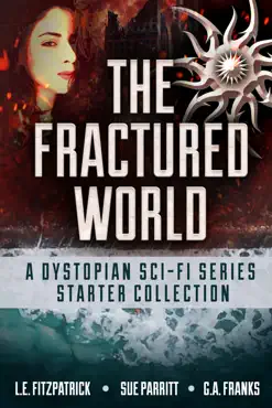 the fractured world imagen de la portada del libro