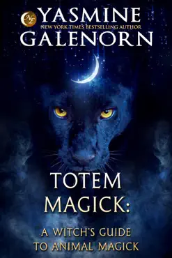 totem magick book cover image