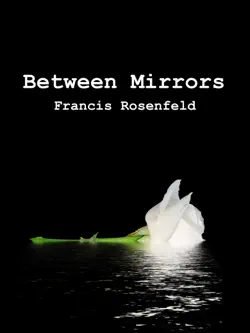between mirrors book cover image