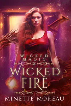wicked fire book cover image