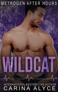 wildcat: a firefighter romance book cover image