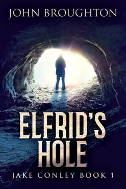 elfrid's hole book cover image