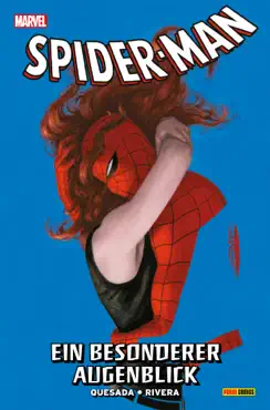 spider-man - ein besonderer augenblick book cover image