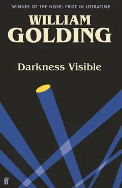 darkness visible book cover image