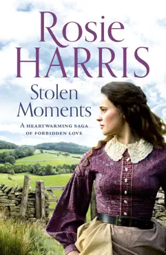 stolen moments book cover image