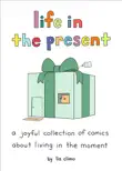 Life in the Present synopsis, comments
