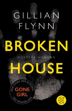broken house - düstere ahnung book cover image