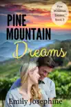 Pine Mountain Dreams synopsis, comments
