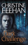 Dark Challenge book summary, reviews and downlod