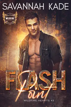 flash point: a forced proximity protector romantic suspense book cover image