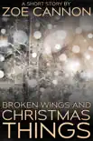 Broken Wings and Christmas Things synopsis, comments