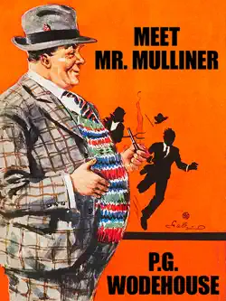 meet mr mulliner book cover image