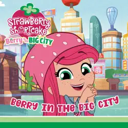 berry in the big city book cover image