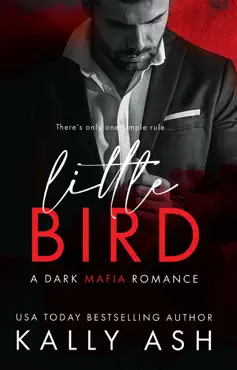 little bird imagen de la portada del libro