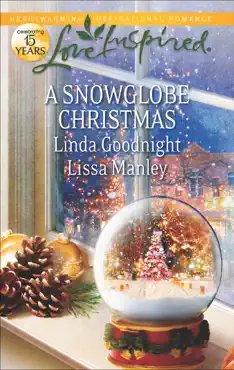 a snowglobe christmas book cover image