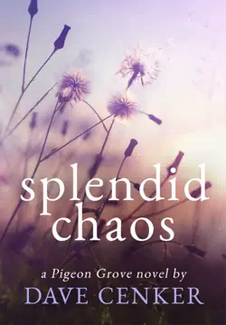 splendid chaos book cover image