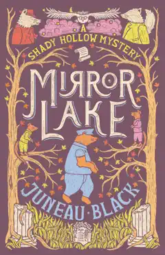 mirror lake book cover image