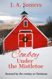 Cowboy Under the Mistletoe synopsis, comments