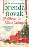Christmas in Silver Springs e-book