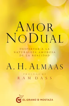 amor no dual book cover image