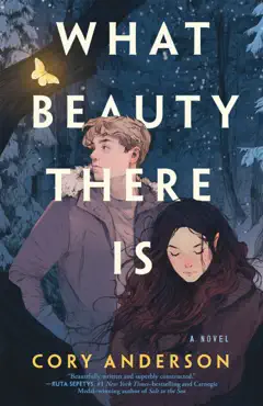 what beauty there is book cover image
