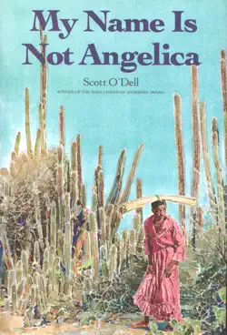 my name is not angelica book cover image