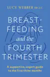 Breastfeeding and the Fourth Trimester sinopsis y comentarios