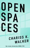 Open Spaces synopsis, comments