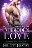 Unchained by a Forbidden Love synopsis, comments