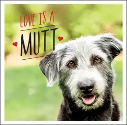 love is a mutt book cover image