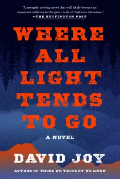 where all light tends to go book cover image