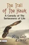 The Trail of the Hawk: A Comedy of the Seriousness of Life sinopsis y comentarios