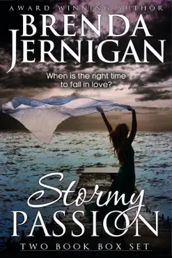 stormy passion book cover image