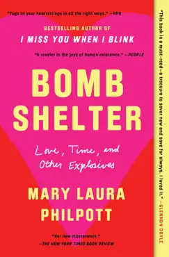 bomb shelter book cover image