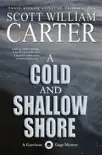 A Cold and Shallow Shore synopsis, comments