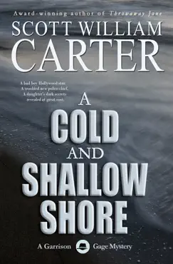 a cold and shallow shore book cover image