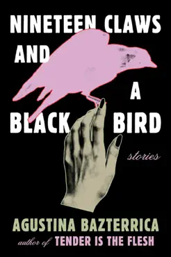 nineteen claws and a black bird book cover image